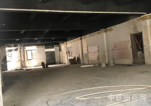 原房東廠房出租無公攤閔行廠房出售,配電50KVA適合醫療健康行業,協助辦環評