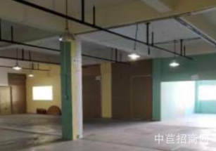 普陀區層高7-12m獨棟廠房大平層 知名開發商 園區形象好