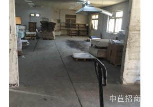 徐匯區(qū)層高5-9米獨院廠房多層交通便捷 近高速