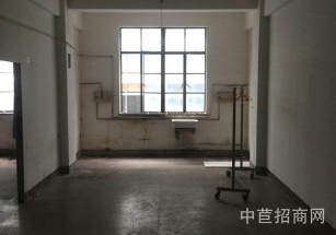 楊浦區層高6.5米獨院廠房一層無稅收要求,原房東,無立柱