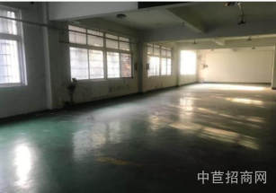 普陀區層高6米獨門獨院多層稀少可環評廠房 面積可分割