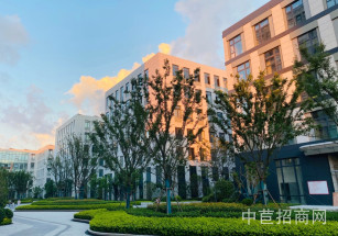 閔行區(qū)層高6.5米獨(dú)院廠房一層公攤低 精裝修