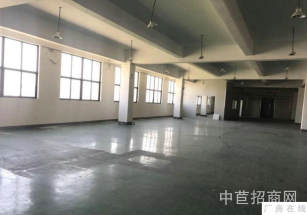 楊浦區層高7.9米獨院廠房大平層 可生產研發 租金低