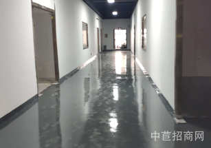 寶山區層高6.5米獨院廠房單層配套齊全