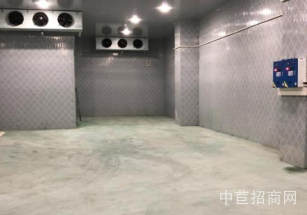 普陀區層高6.8米獨院獨棟雙層 進出貨便利緊鄰高速