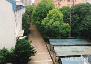 楊浦區層高7米獨門獨院大平層 大跨度，布局合理