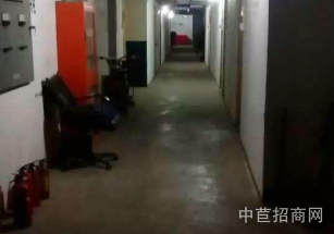 虹口區層高7.9米標準廠房一層園區配套全 空地大 停車方便