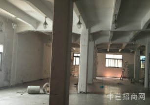 黃浦區層高6.8米獨門獨院雙層 稀少可環評廠房 面積可分