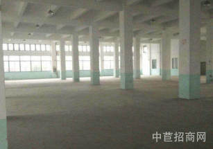 楊浦區層高6米獨院獨棟單層租金便宜 資金壓力小