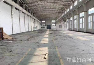 寶山區層高6米獨棟廠房大平層 有免租期 可以分租 環氧地坪