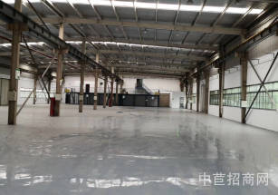 楊浦區層高7.5米獨院獨棟多層有免租期 可以分租 環氧地坪