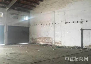 楊浦區(qū)層高6.8米獨院廠房大平層 近地鐵大面積廠房 配套全