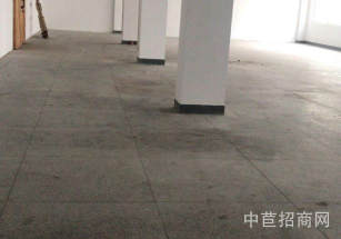 普陀區層高7-12m標準廠房大平層 證件齊全 公攤低