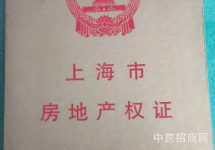 普陀區層高6.8米獨棟廠房多層面積可分 價格優惠 稀缺廠房