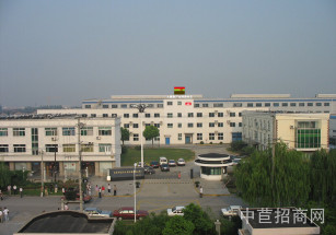 寶山區層高6.5米獨院廠房單層低價廠房出租 面積可分割