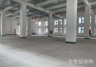 閔行區層高7米獨院獨棟大平層 園區配套全 空地大 停車方便