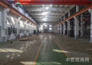 楊浦區(qū)層高7-12m標(biāo)準(zhǔn)廠房一層租金超低 適合各類無污染企業(yè)