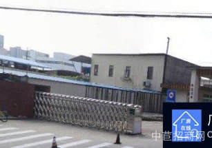 普陀區(qū)層高6米獨(dú)院獨(dú)棟大平層 園區(qū)配套全 空地大 停車方便