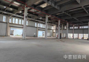 金山區層高6.5米獨院獨棟單層租金超低 適合各類無污染企業