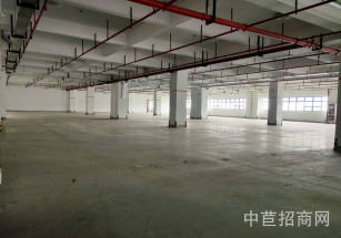 上海松江層高6米獨門獨院一層近地鐵近高架