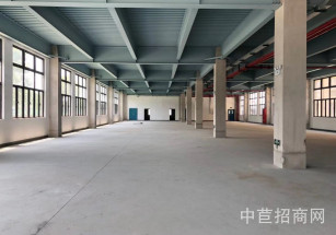 松江區層高7.9米獨院廠房大平層 進出貨便利緊鄰高速