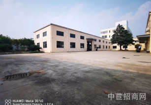 浦東新區(qū)層高6米標準廠房雙層 大小面積可分割