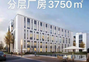 金山區層高7.9米獨棟廠房單層有免租期 可以分租 環氧地坪