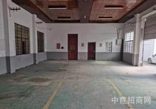 上海嘉定層高7米標準廠房大平層 知名開發商 園區形象好