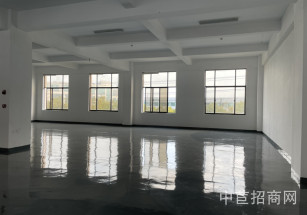 松江區層高7.9米標準廠房一層租金便宜 資金壓力小