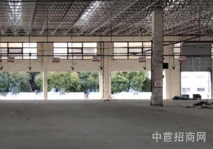 浦東新區層高7.9米獨門獨院大平層 大跨度，布局合理