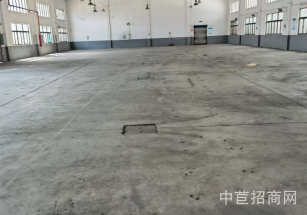 浦東新區(qū)層高5-9米獨院廠房多層送免費停車位 租金低大貨梯