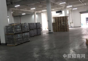 浦東新區層高5-9米獨院獨棟多層 園區配套全 空地大 停車方便