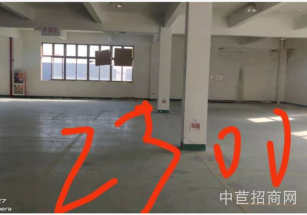 金山區層高6.8米獨院獨棟多層大跨度，布局合理