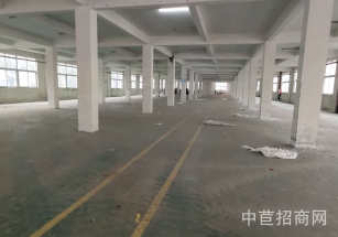 嘉定區層高6米獨門獨院雙層 面積可分 價格優惠 稀缺廠房