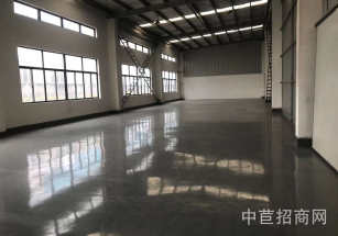 青浦區層高5-9米獨門獨院多層送免費停車位 租金低大貨梯