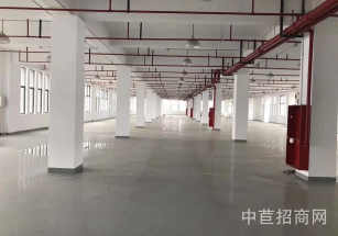 浦東新區層高7.9米獨門獨院大平層 面積可分割 核心位置