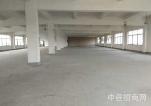 上海金山層高7-12m獨院獨棟雙層  園區(qū)配套全 空地大 停車方便