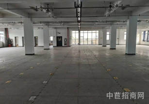 青浦區層高6米獨院獨棟單層園區配套全 空地大 停車方便