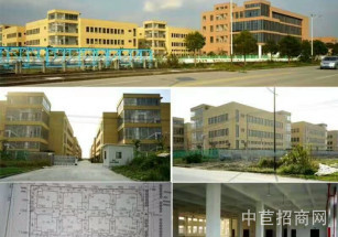 金山區層高6.5米獨棟廠房多層無稅收要求,原房東,無立柱