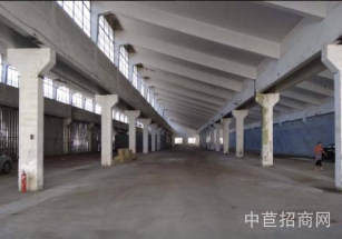 上海金山層高7-12m獨院獨棟大平層 2噸貨梯 享受稅收補貼政策