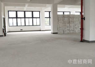 松江區(qū)層高5-9米標準廠房單層大跨度，布局合理