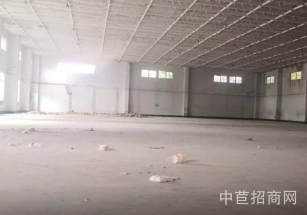 上海嘉定層高6米獨(dú)院獨(dú)棟一層園區(qū)配套全 空地大 停車方便