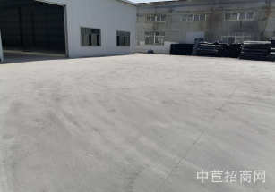 金山區(qū)層高7.5米獨棟廠房大平層 大跨度，布局合理