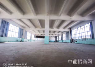 浦東新區層高5-9米獨門獨院多層園區配套全 空地大 停車方便