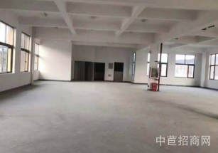 金山區層高6.8米獨門獨院單層可生產倉儲研發辦公 位置好