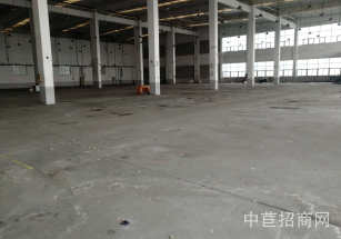 青浦區層高5-9米獨院獨棟多層面積可分割 公攤低