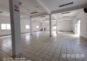 浦東新區(qū)層高7-12m獨(dú)院廠房大平層 租金便宜 資金壓力小