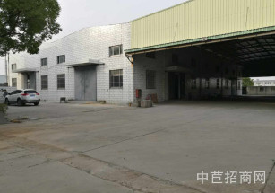 松江區層高7米獨門獨院單層面積可分割 核心位置