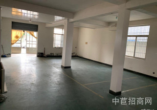 青浦區層高7.5米獨門獨院雙層 大面積配套齊全 丙類消防 政策優惠