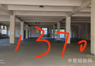 金山區層高6.5米獨門獨院雙層 近地鐵近高架